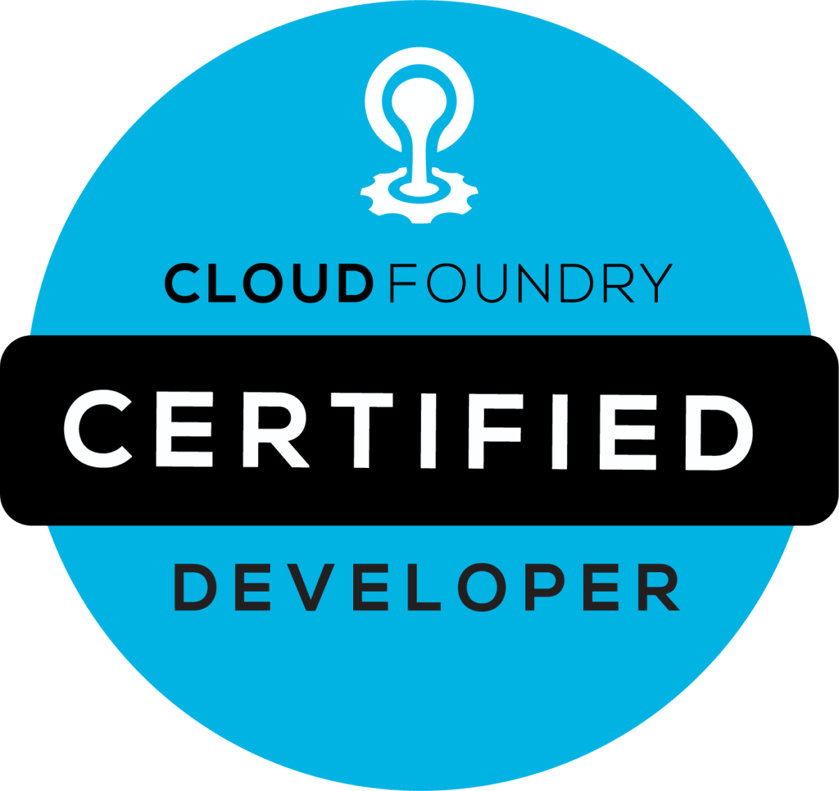 Cloud Foundry Certified Developer logo