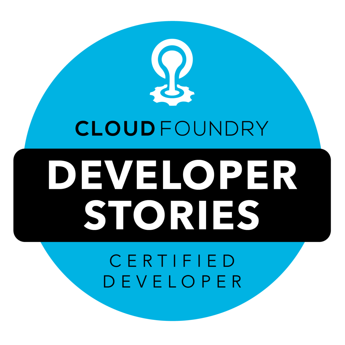 CFCD Developer Stories